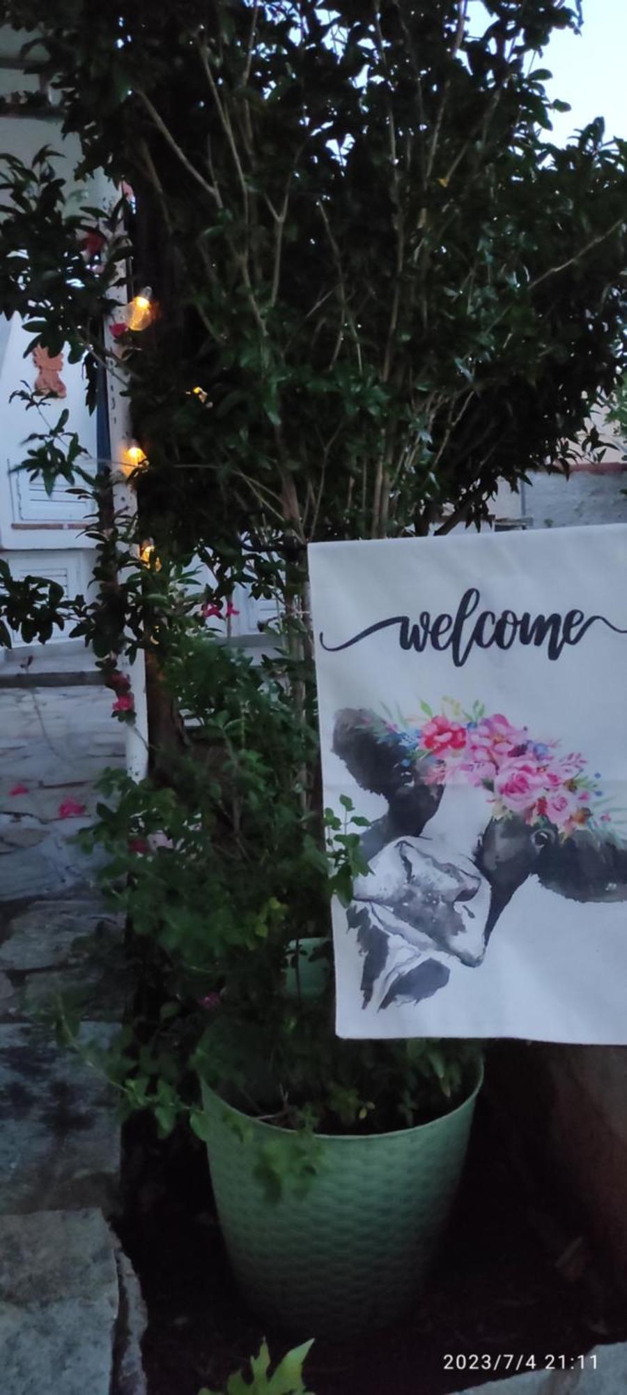Secret Garden Home Lagonissi Attiki Melissourgoú 外观 照片