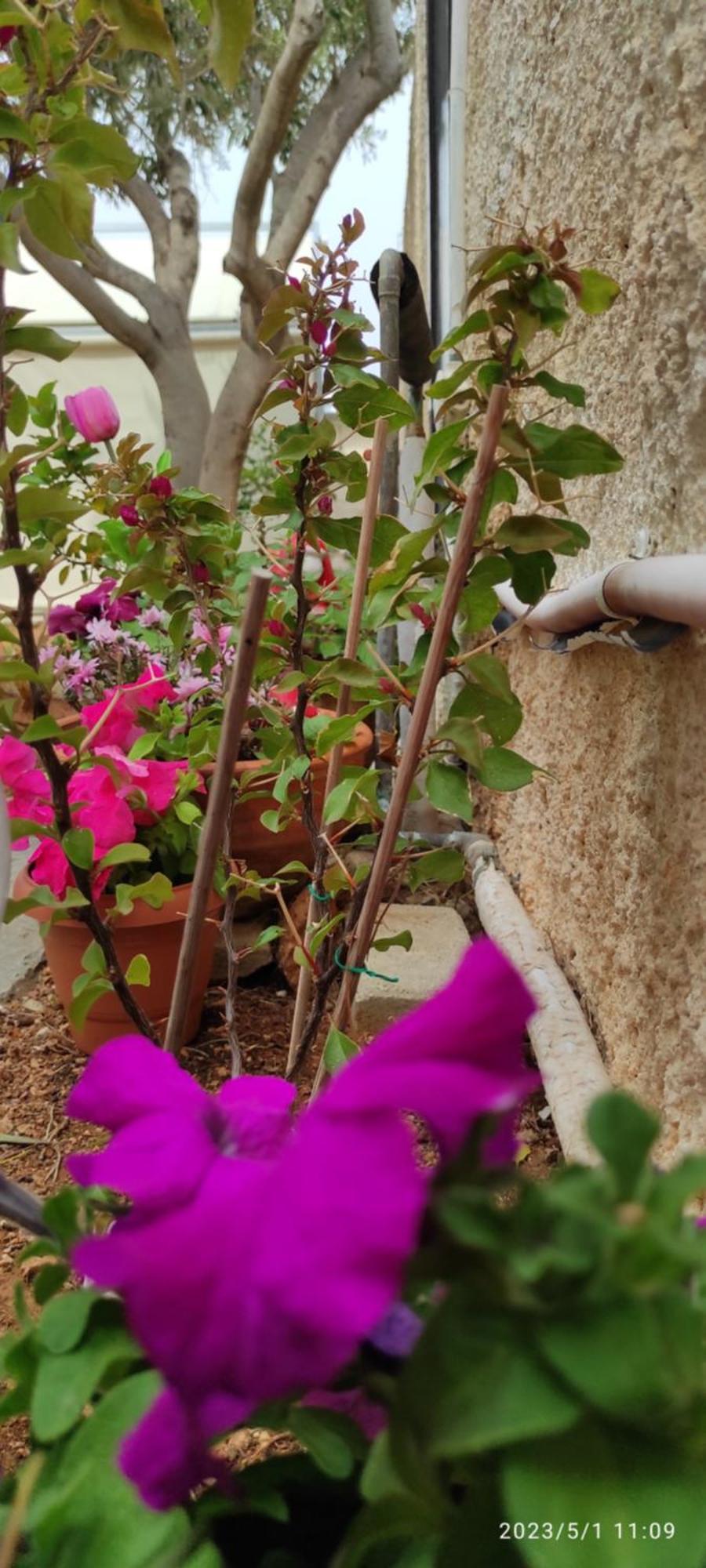 Secret Garden Home Lagonissi Attiki Melissourgoú 外观 照片