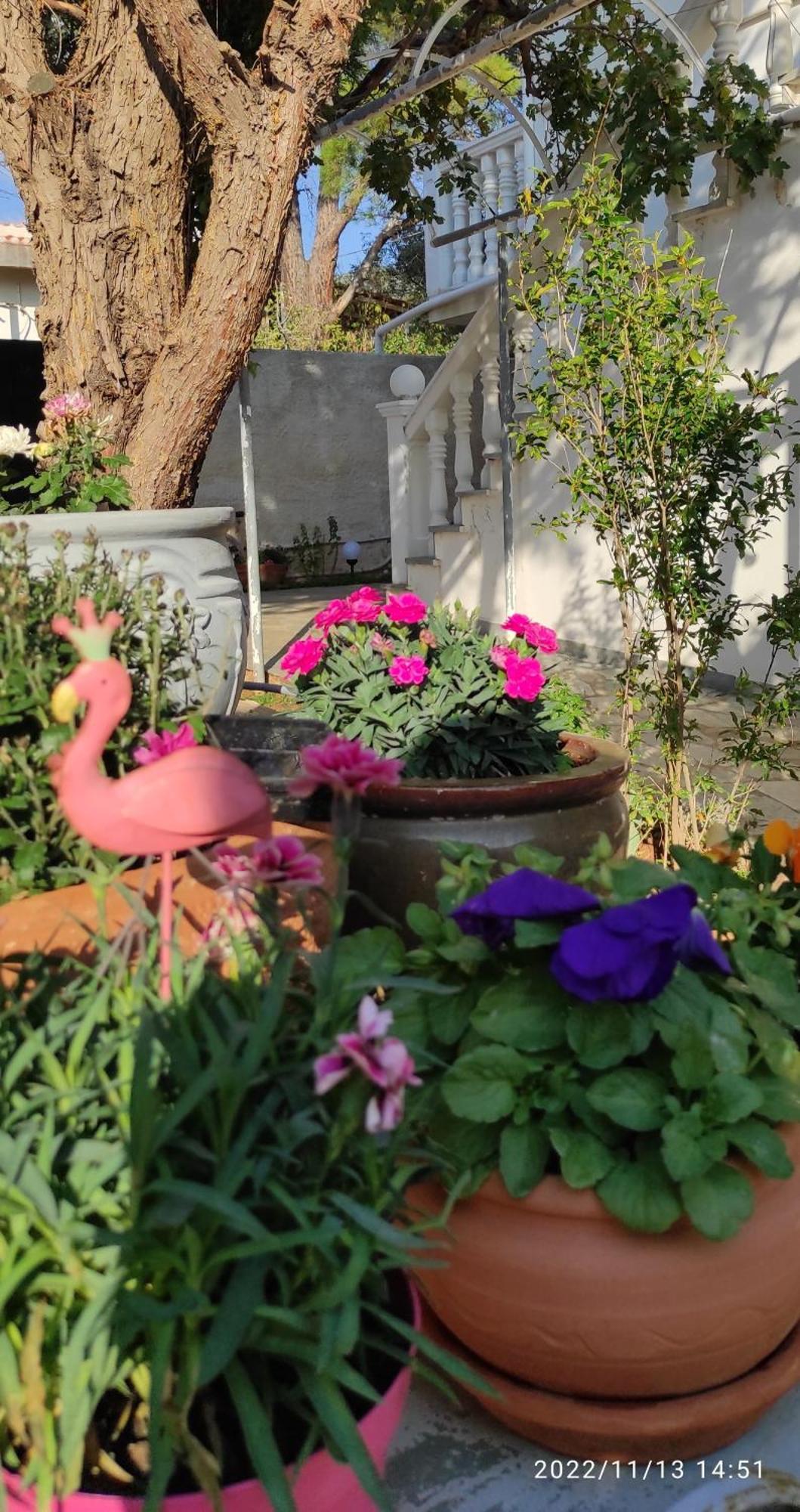 Secret Garden Home Lagonissi Attiki Melissourgoú 外观 照片